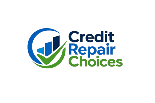 Credit Repair Choices